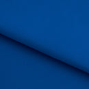 Double Sided Brushed Recycled Polyester Spandex | Blue Moon Fabrics