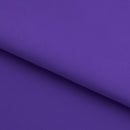 Double Sided Brushed Recycled Polyester Spandex | Blue Moon Fabrics