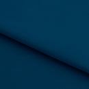 Double Sided Brushed Recycled Polyester Spandex | Blue Moon Fabrics