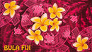 Bula Fiji Turtle Sarong | Islands Fabric